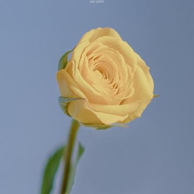 8188www威尼斯