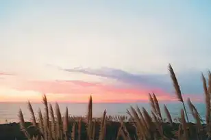 vps和主机的区别是什么，VPS与主机，深入剖析两者之间的差异及适用场景
