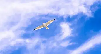 域名注册须知及流程详解怎么写的，域名注册须知及流程详解