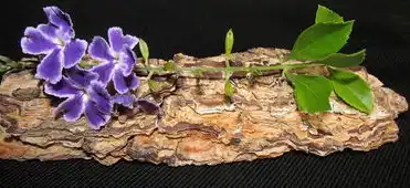 中文域名注册管理办法(试行)中文域名注册管理办法（试行）详解，政策背景、注册流程及注意事项