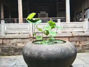 云主机和云桌面的用途和区别是什么，云主机与云桌面，功能、应用及选择指南