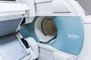 如何进入服务器地址，如何进入服务器，探索虚拟世界的钥匙