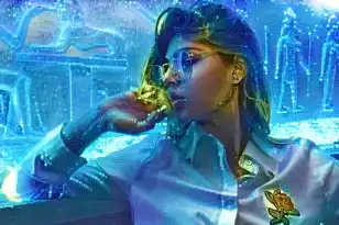 梦幻一个服务器多少人算爆满,梦幻西游,服务器容量与玩家体验
