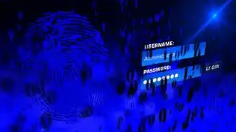 aws云服务器输密码安全么安全吗,AWS云服务器输入密码的安全性分析