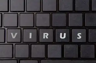 vps 主机租用，深度解析VPS主机租用的优势与选择指南