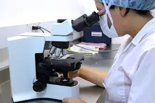 服务器测试方法有哪几种，服务器测试方法概述与详细解析