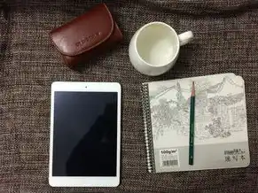 kvm虚拟机网卡配置，KVM虚拟机添加网卡的详细教程与配置方法