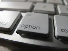 哪里可以免费注册域名的软件,揭秘免费域名注册平台,盘点全网最全免费域名注册软件及方法