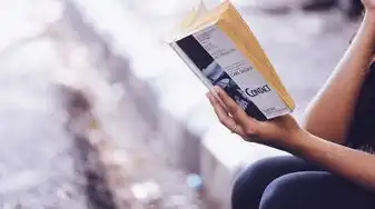 怎么查出域名注册人信息,如何查询域名注册人的信息,全面指南与技巧