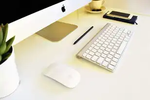阿里云vps手机远程桌面怎么用，阿里云VPS手机远程桌面的使用指南与实战技巧