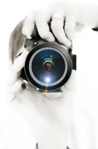 网络共享虚拟机怎么设置，网络共享虚拟机设置指南，实现高效远程协作