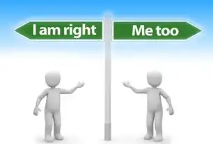 域名注册个人还是企业的好，域名注册，个人与企业的优劣对比