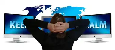 服务器用来干嘛的英文翻译，The Versatile Applications of Servers:Understanding Their Functions and Importance
