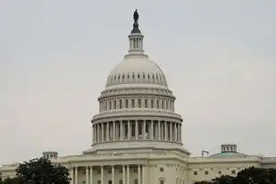 美国最大域名注册商是谁，美国最大域名注册商揭秘，GoDaddy的崛起与市场布局