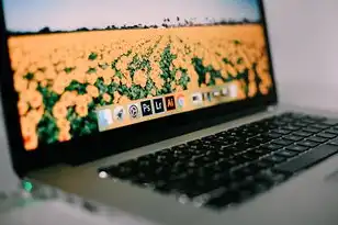 kvm 备份，基于KVM虚拟机的备份解决方案，高效、安全、可靠的数据保护策略