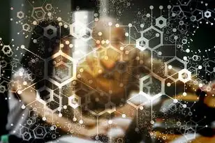 阿里云域名省份英文格式,阿里云域名注册省份信息格式全解析,规范填写指南与实操案例