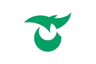 日本云服务商有哪些，日本云服务商全景解析，市场格局、产品与服务一览