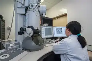 服务器生产厂商排名,2023年全球服务器市场十大厂商排名,技术革新引领行业新风向