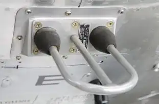 多台服务器可以共用一个ip吗，多台服务器共用一个IP地址的可行性及解决方案探讨