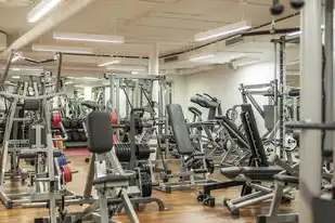 云服务器属于什么设备类型，揭秘云服务器，它究竟属于什么设备类型？