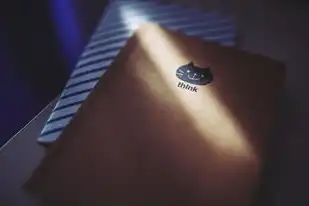 vps专用主机什么牌子好用，深度解析，VPS专用主机品牌盘点，为您挑选最适合的VPS服务器！