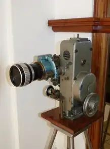 放映机和放映服务器的区别，放映机与放映服务器，技术差异与应用场景解析