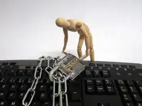 vps主机的优缺点，VPS主机，揭秘其功能与优缺点，助您选择合适的云服务器
