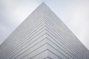 云服务器的结构图，云服务器结构图解析，揭秘现代云计算核心架构