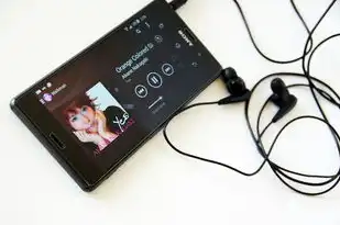 双主机有什么用途和作用，双主机在现代化应用中的多面用途与作用解析