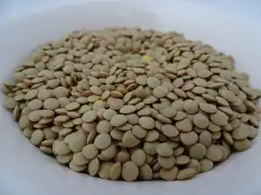 云桌面是虚拟机吗，云桌面与虚拟机，深度解析两者之间的异同与关系