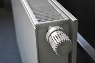 主机水冷和风冷的区别在哪，主机水冷与风冷，全面解析两种散热方式的优劣与适用场景