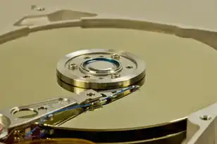 主机的工作原理和作用，深入解析主机工作原理及其在现代科技中的重要作用