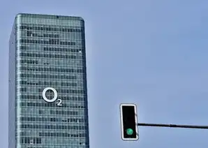 金万维天联是什么软件，金万维天联高级服务器，引领企业信息化管理新潮流