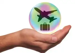 挪威域名注册需要满足哪些条件才能申请，挪威域名注册条件详解，申请流程与注意事项