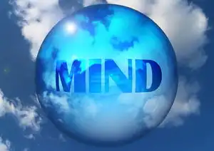 企业域名注册流程谁知道的，企业域名注册全攻略，揭秘企业域名注册流程及注意事项