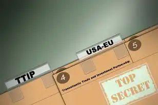 我的世界国际服服务器ip地址查询，深入揭秘，探索我的世界国际版2b2t服务器IP地址的奥秘与传奇