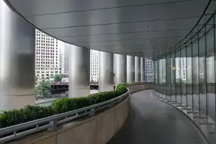 企业购买云服务器，企业级云服务器，虚拟化技术的革新与实际应用解析