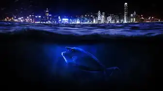 戴尔3040迷你主机拆解图，深度拆解戴尔3040迷你主机，揭秘内部构造与升级空间