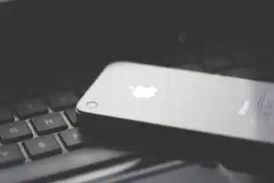 云服务平台官网，云服务平台，企业数字化转型的新引擎—全方位解析其功能、优势与操作指南