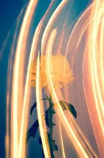 梦幻一个服务器多少人算爆满，梦幻西游，揭秘一个服务器容纳人数上限，探析爆满背后的原因与应对策略