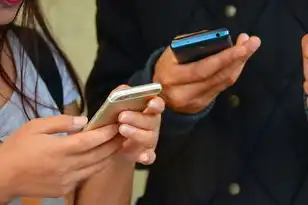 如何查询域名注册人联系方式，深度解析，如何查询域名注册人联系方式及手机号