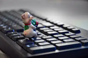 云服务器太贵了,想要多台怎么办怎么，云服务器成本高昂？教你如何高效管理多台云服务器，节省开支！