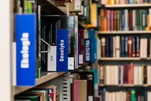 国内存储服务器品牌前十大排名有哪些，2023年中国存储服务器品牌前十大排名及市场分析