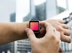 域名注册人信息查询工具是什么,深度解析域名注册人信息查询工具,揭秘域名背后的真实身份