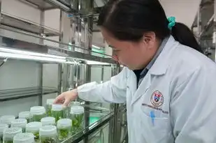 检查服务器都需要检查什么，全面解析，服务器设备检查要点及方法