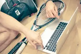 cos对象存储是什么，深入解析，COS对象存储的使用方法及优势