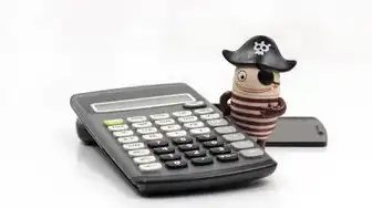 硬盘存储服务器 如何使用，深入解析硬盘存储服务器在NVR系统中的应用与操作指南