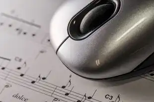 vps远程登录，VPS远程服务器桌面激活抖音号，详解操作步骤与注意事项
