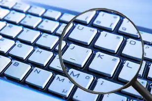 vmware虚拟机如何与主机共享文件，VMware虚拟机与主机共享网络及文件设置详解