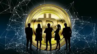 虚拟化后会发生什么情况,虚拟化技术引领网络变革,深入探讨虚拟机二层域的挑战与应对策略
